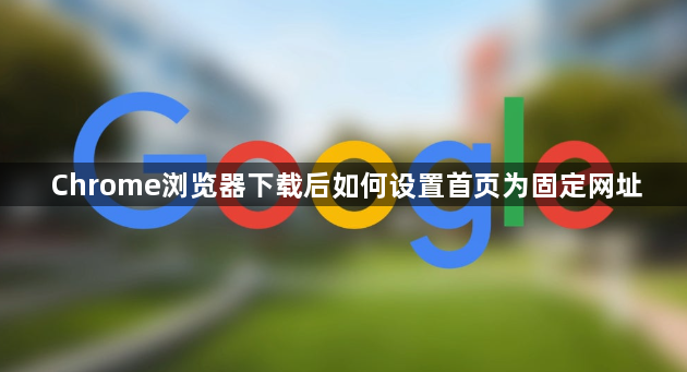 Chrome浏览器下载后如何设置首页为固定网址1