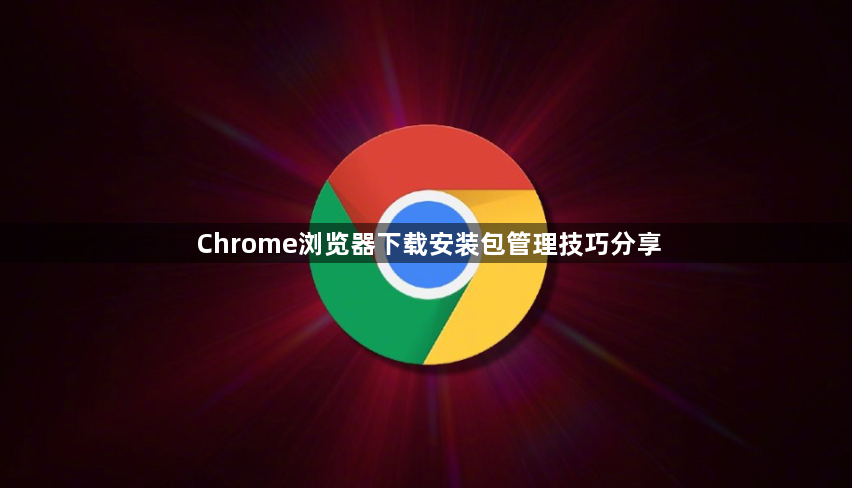 Chrome浏览器下载安装包管理技巧分享1