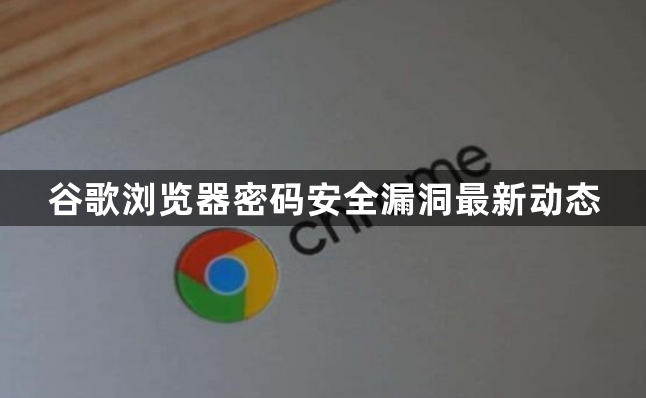 谷歌浏览器密码安全漏洞最新动态1