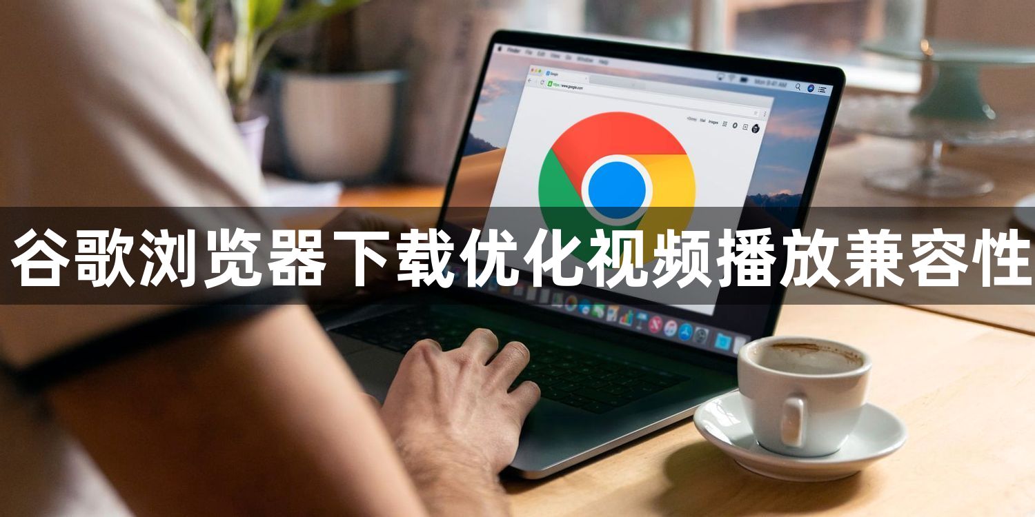 谷歌浏览器下载优化视频播放兼容性1
