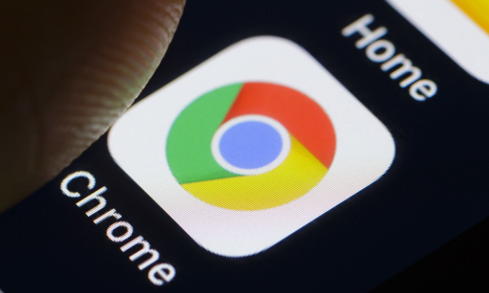 Google Chrome官方下载能否指定文件格式
