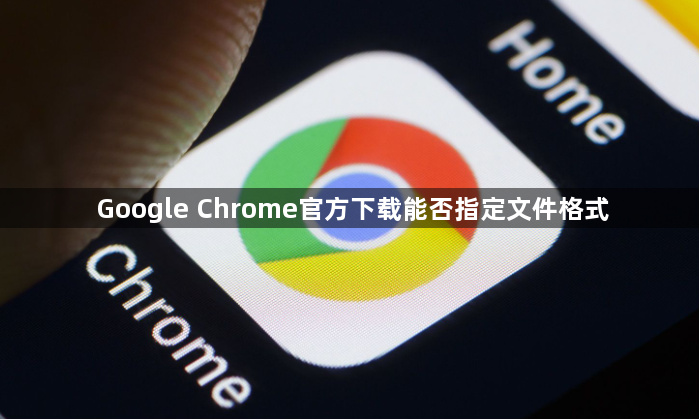 Google Chrome官方下载能否指定文件格式1