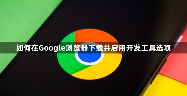 如何在Google浏览器下载并启用开发工具选项1