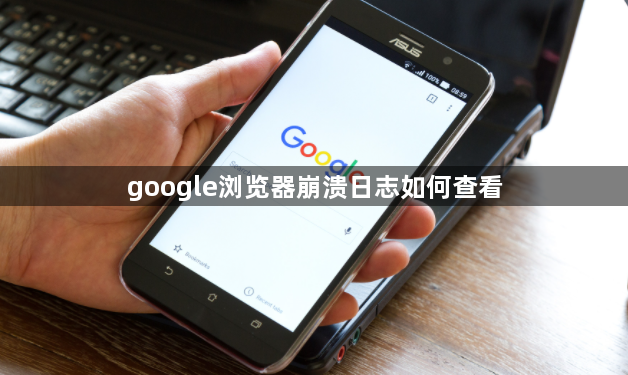 google浏览器崩溃日志如何查看1