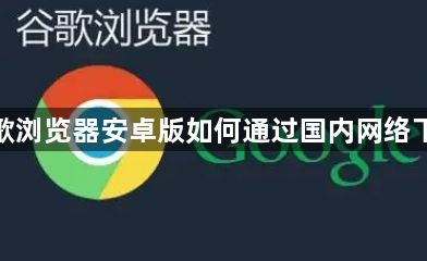 谷歌浏览器安卓版如何通过国内网络下载1