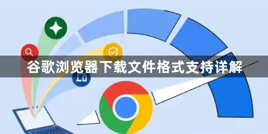 谷歌浏览器下载文件格式支持详解1