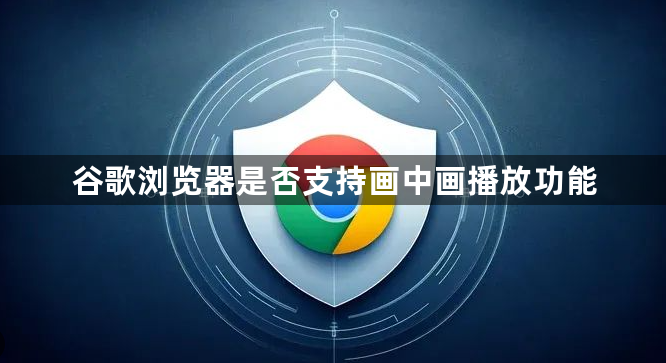 谷歌浏览器是否支持画中画播放功能1