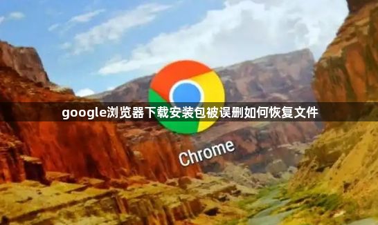 google浏览器下载安装包被误删如何恢复文件1