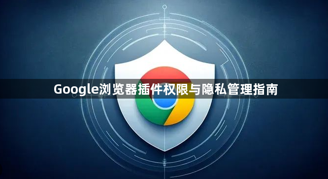 Google浏览器插件权限与隐私管理指南1