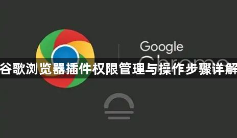 谷歌浏览器插件权限管理与操作步骤详解1