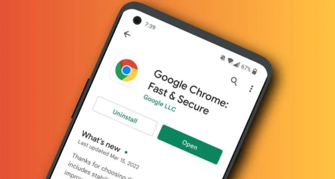 Google浏览器下载文件后自动变成ZIP怎么设置格式