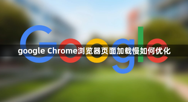 google Chrome浏览器页面加载慢如何优化1