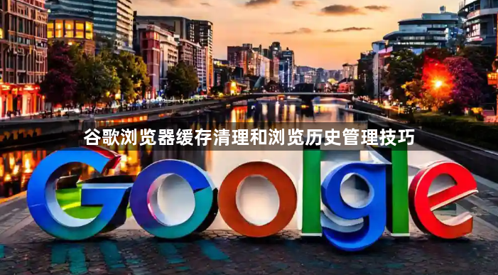 谷歌浏览器缓存清理和浏览历史管理技巧1