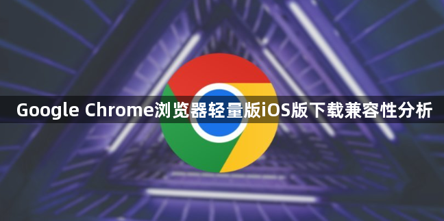Google Chrome浏览器轻量版iOS版下载兼容性分析1