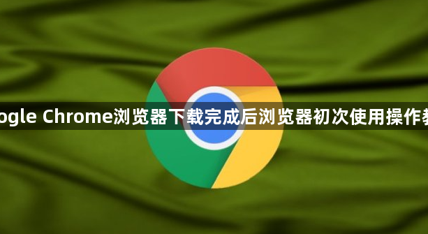 google Chrome浏览器下载完成后浏览器初次使用操作教程1