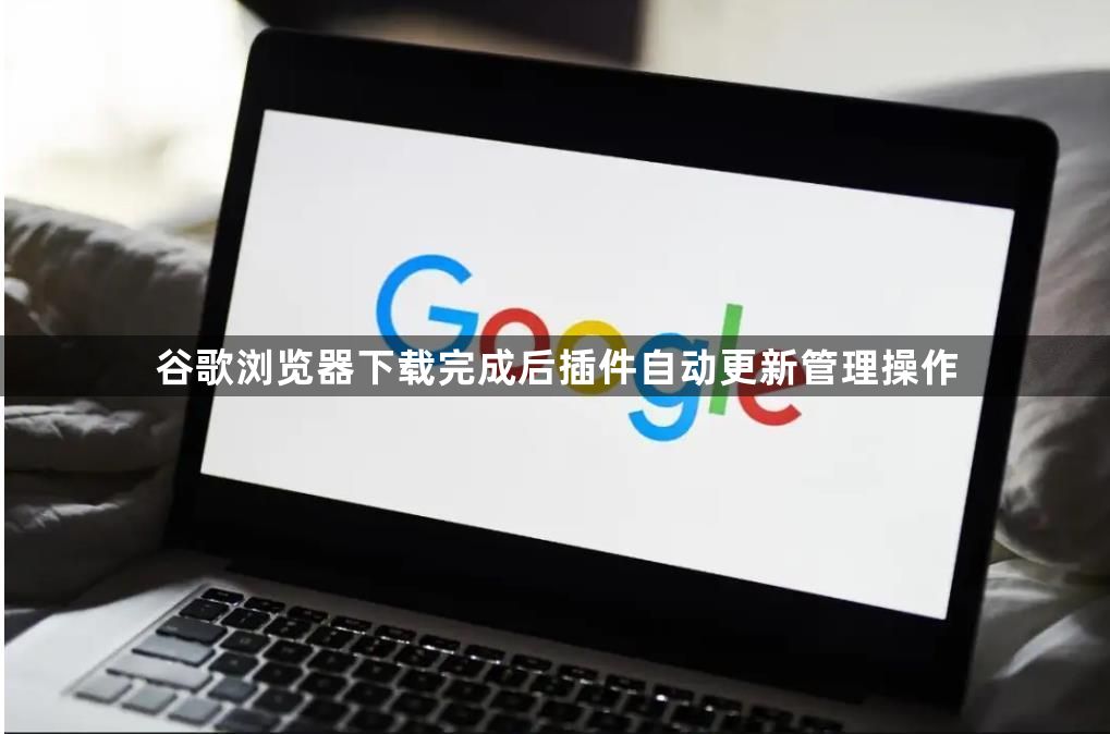 谷歌浏览器下载完成后插件自动更新管理操作1
