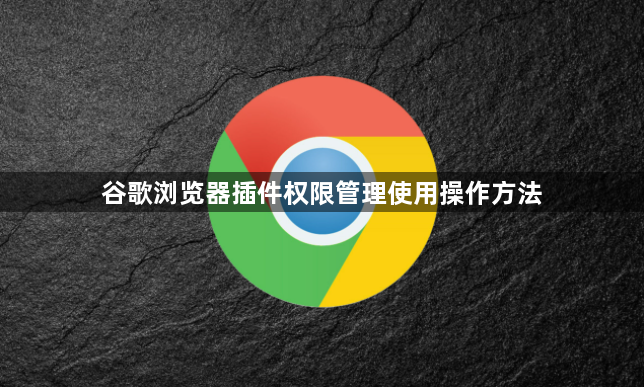 谷歌浏览器插件权限管理使用操作方法1