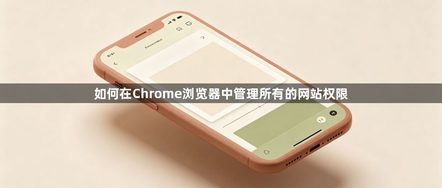 如何在Chrome浏览器中管理所有的网站权限1