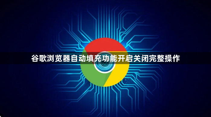 谷歌浏览器自动填充功能开启关闭完整操作1